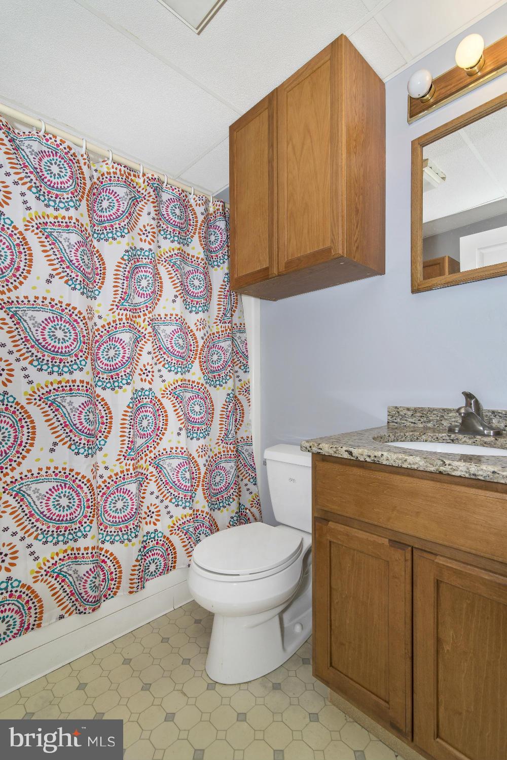 6103 Ravenwood Road Mount Airy, MD 21771 - Photo 21 of 26 Basement-Full Bath