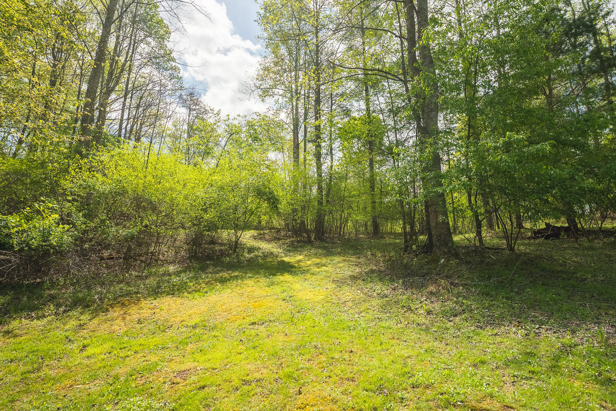 146 Duvall Road Willis, VA 24380 - Photo 17 of 62 DSC00808