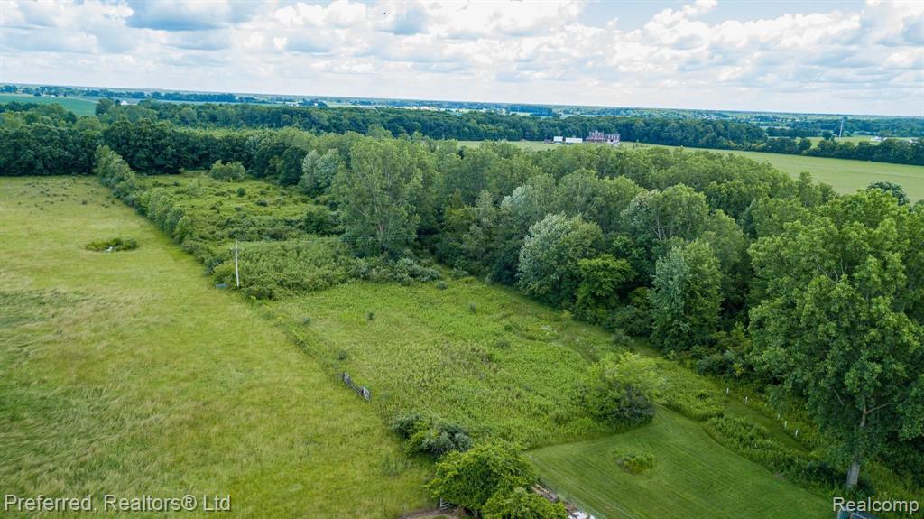 10687 Moon Road Milan, MI 48160 - Photo 37 of 39