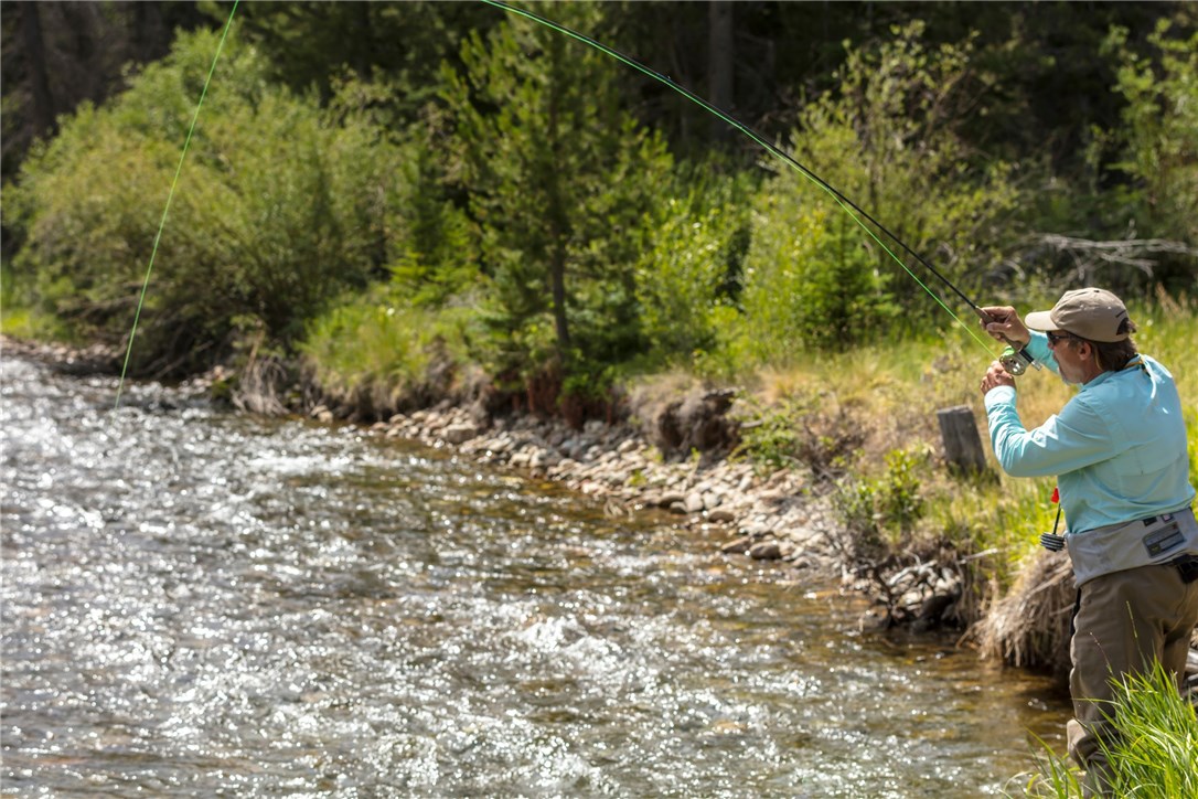 237 Vendette Road Silverthorne, CO 80498 - Photo 16 of 17 a view of a yard with plants and large trees