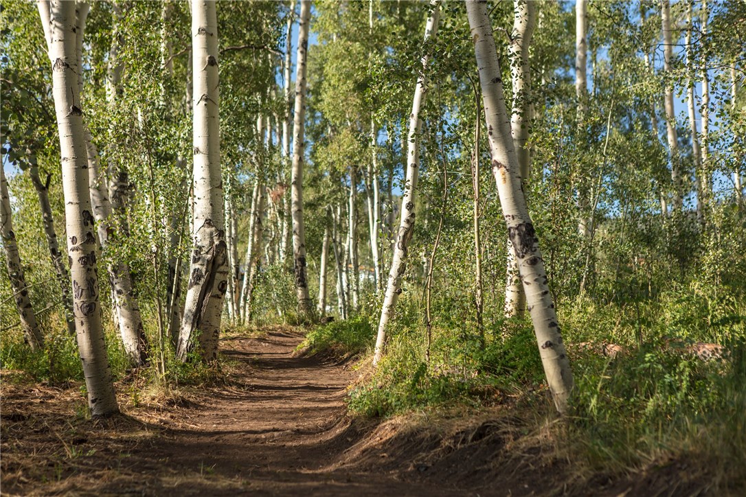 237 Vendette Road Silverthorne, CO 80498 - Photo 17 of 17 a view of fountain in middle of the forest