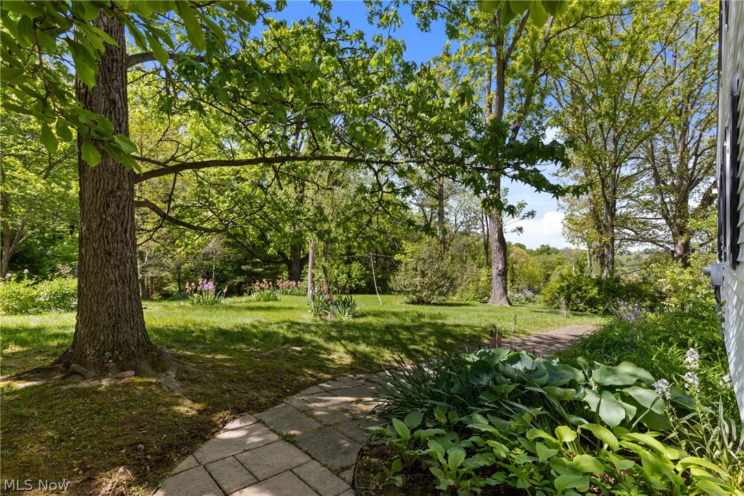 66700 Pancoast Road Belmont, OH 43718 - Photo 42 of 50