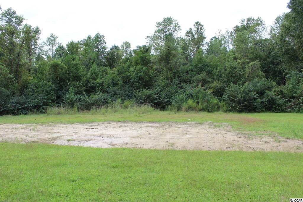 3904 Ridgewood Drive Conway, SC 29526 - Photo 29 of 37 Gallery Image 29