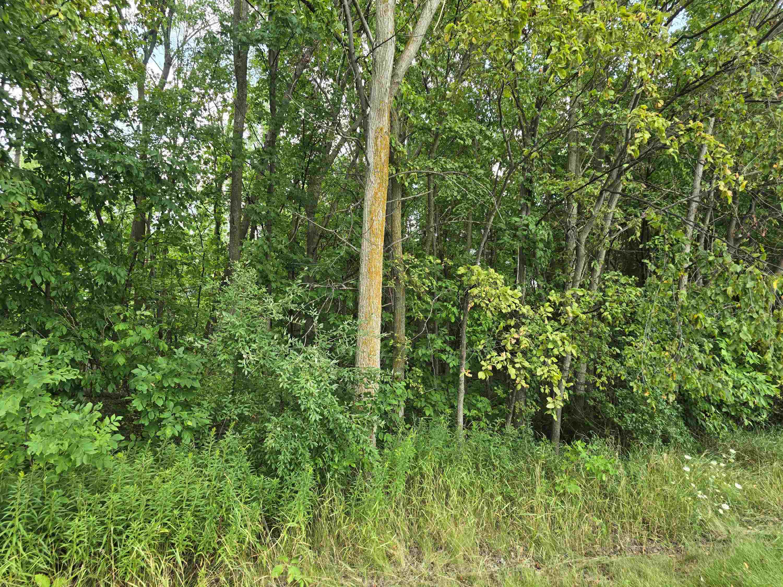 West Munger Road Munger, MI 48747 - Photo 5 of 8