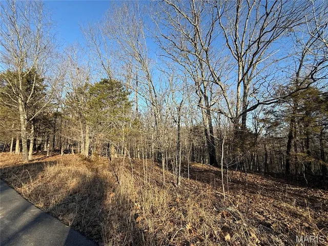 $15,000 | 0 Lot 24 Timber Ridge, Pacific, MO 63069