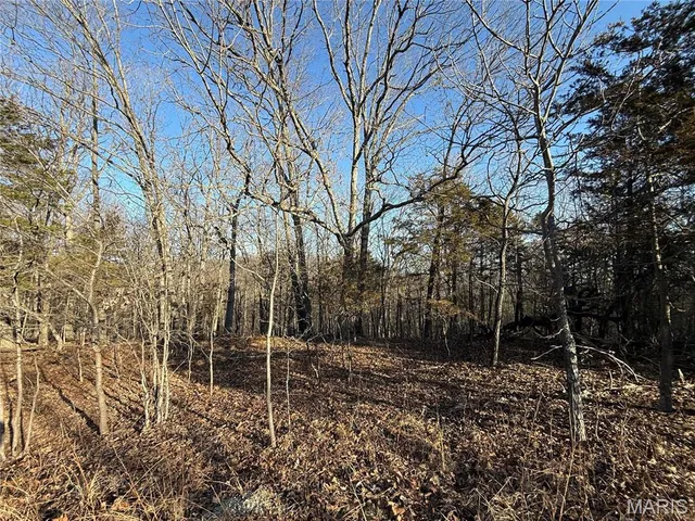 $15,000 | 0 Lot 24 Timber Ridge, Pacific, MO 63069