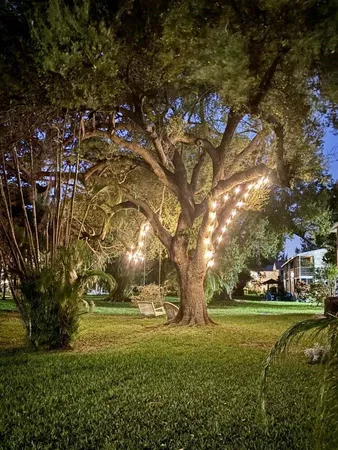 a garden view with a sitting space