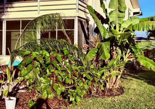 $1,975 | 433 Durham O, Unit 433, Deerfield Beach, FL 33442