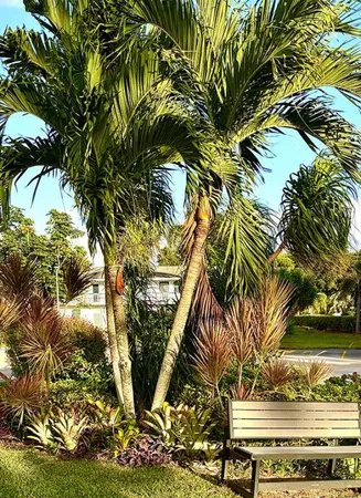 $1,850 | 433 Durham O, Unit 433, Deerfield Beach, FL 33442