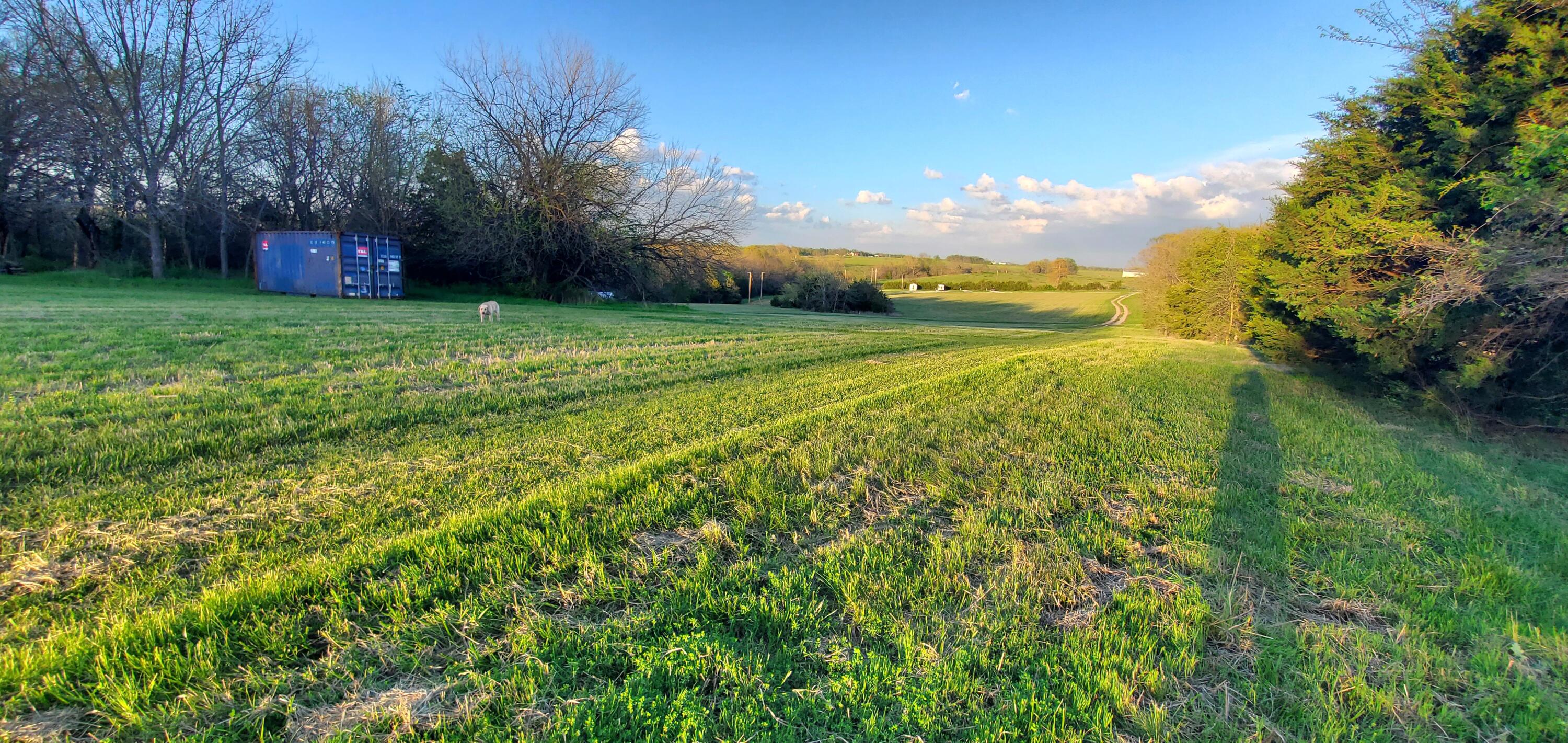 4775 South 50th Road Aldrich, MO 65601 - Photo 301 of 306 20240416_191313