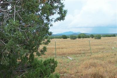 14 Forest Line Road Williams, AZ 86046 - Photo 1 of 6 Primary Photo