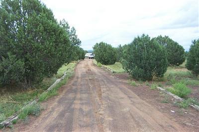 14 Forest Line Road Williams, AZ 86046 - Photo 2 of 6 Additional Photo