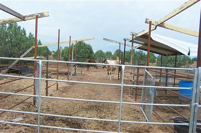 14 Forest Line Road Williams, AZ 86046 - Photo 5 of 6 Additional Photo
