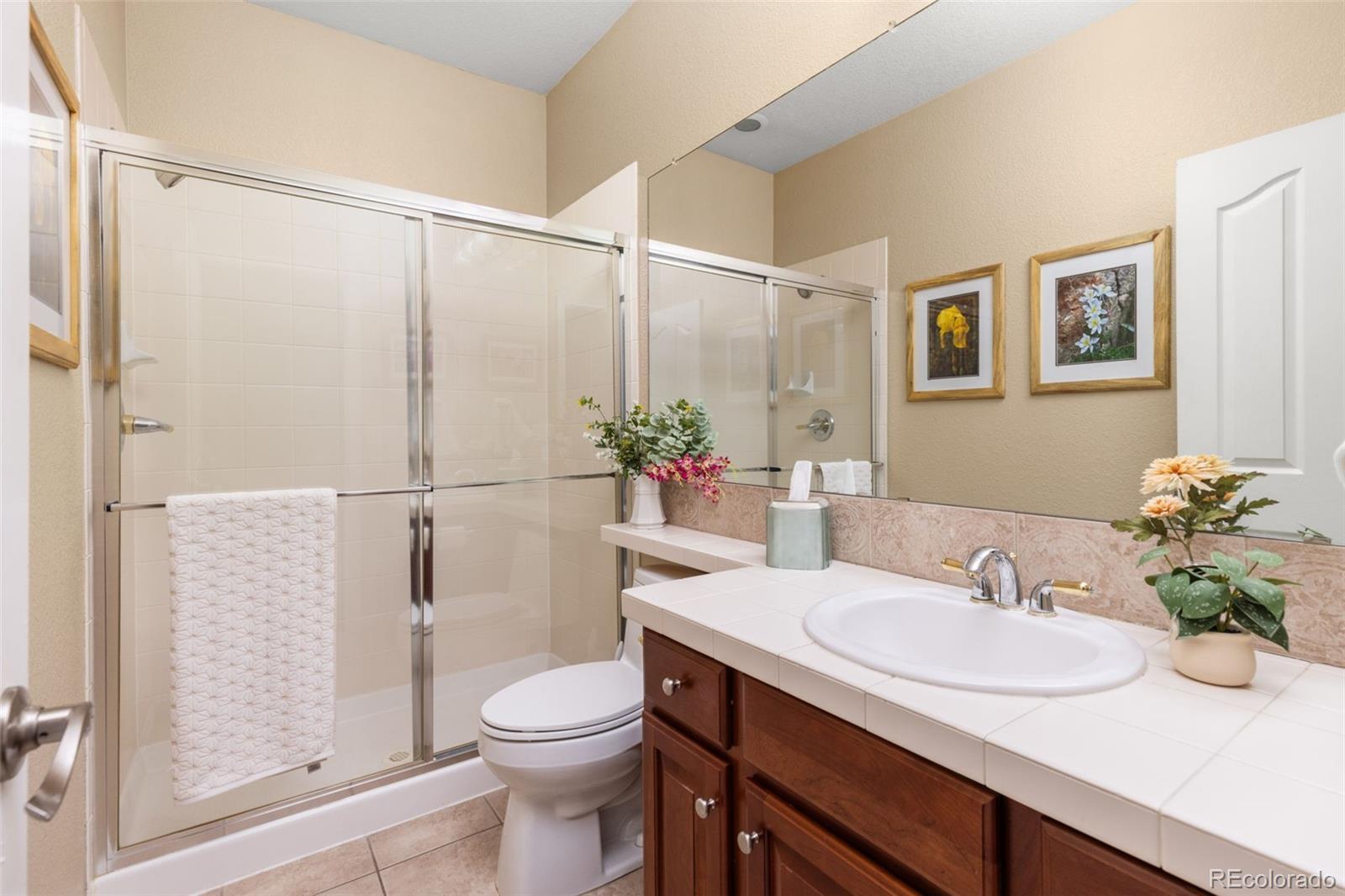 706 Ridgemont Circle Highlands Ranch, CO 80126 - Photo 14 of 47 Gallery Image 14
