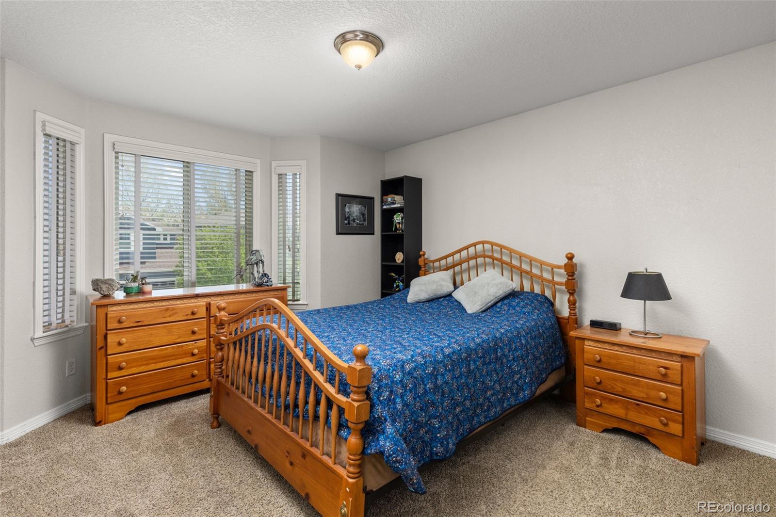 706 Ridgemont Circle Highlands Ranch, CO 80126 - Photo 17 of 47 Gallery Image 17