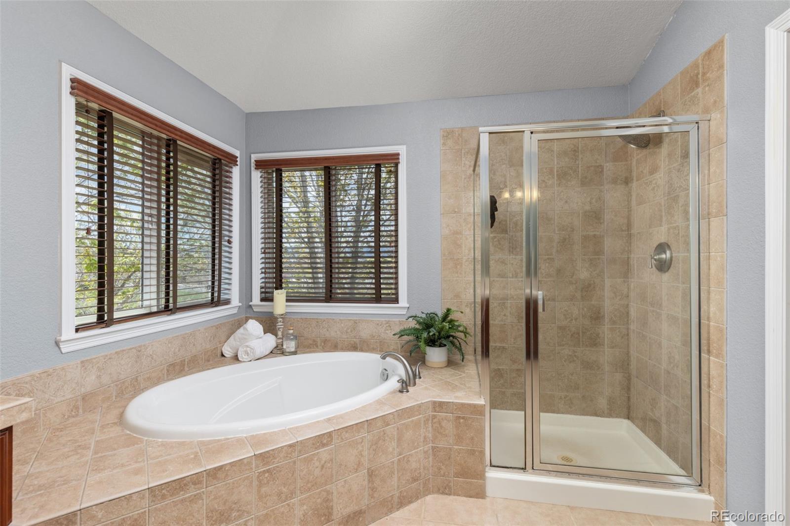 706 Ridgemont Circle Highlands Ranch, CO 80126 - Photo 26 of 47 Gallery Image 26