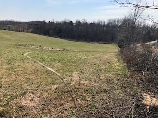 999 Chestnut Grove Road Brodhead, KY 40409 - Photo 4 of 5 Listing Photo