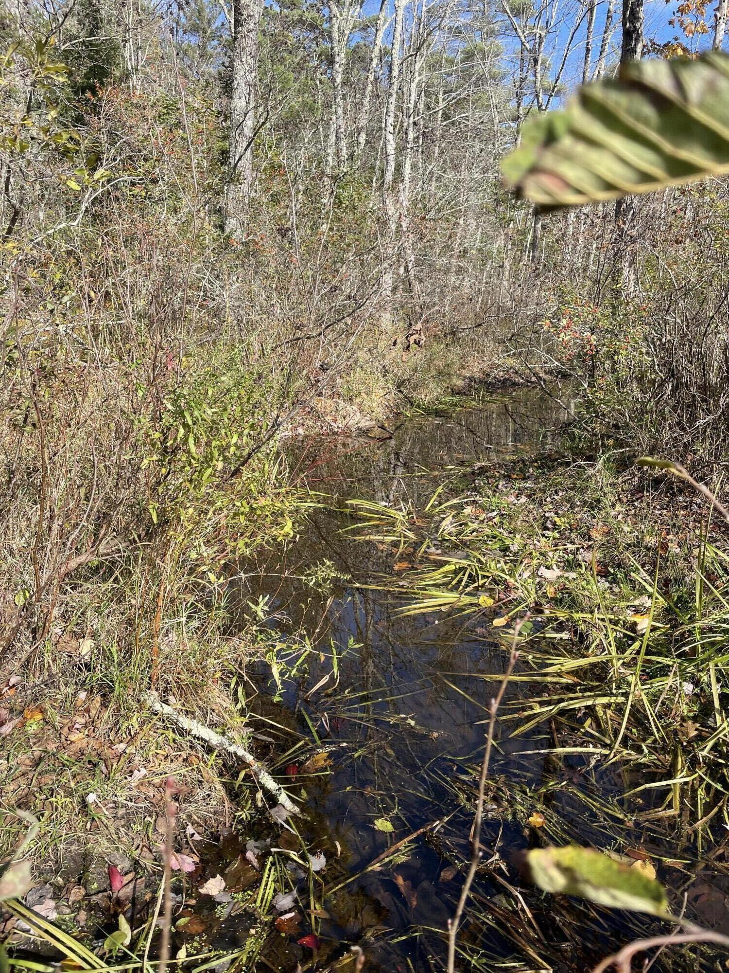 69 Packard Road Monmouth, ME 04259 - Photo 8 of 24 IMG_7248_Stream close to lake