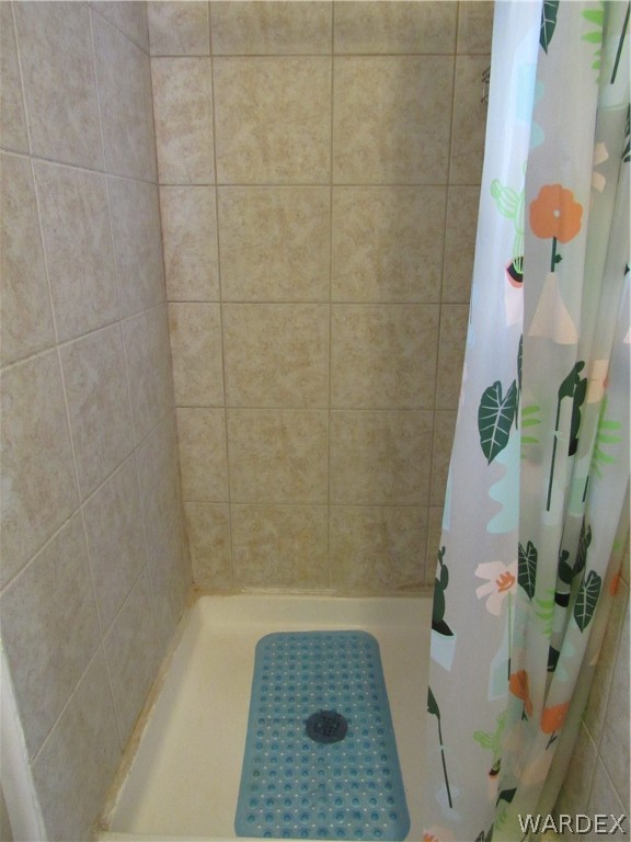 1846 Rio Grande Road Bullhead City, AZ 86442 - Photo 17 of 18 a bathroom with a shower