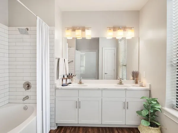 a bathroom with a sink double vanity and a bathtub