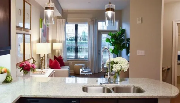 a bathroom with a granite countertop sink a potted plant and a window