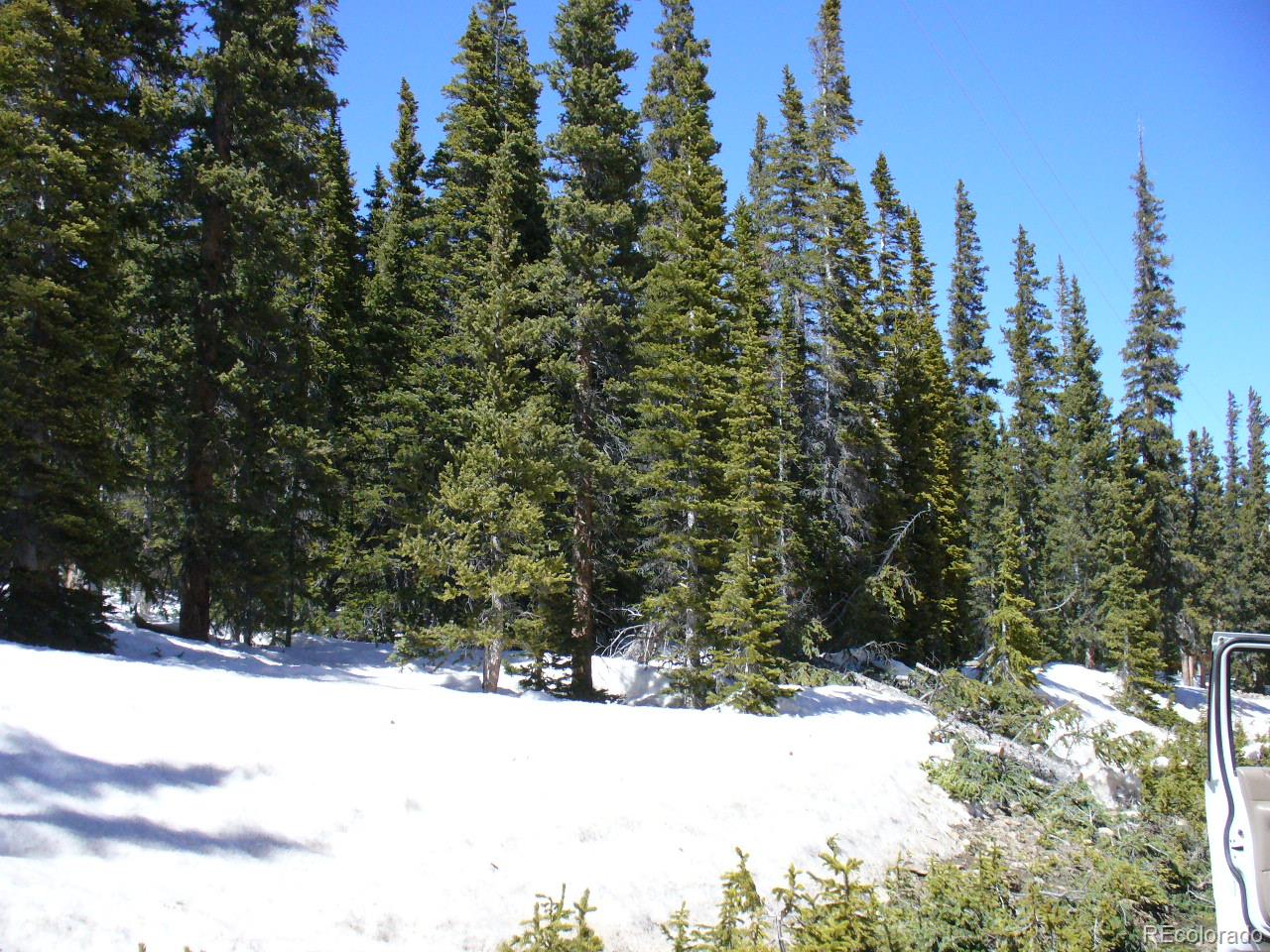 0 Rialto Road Fairplay, CO 80440 - Photo 2 of 7 Gallery Image 2