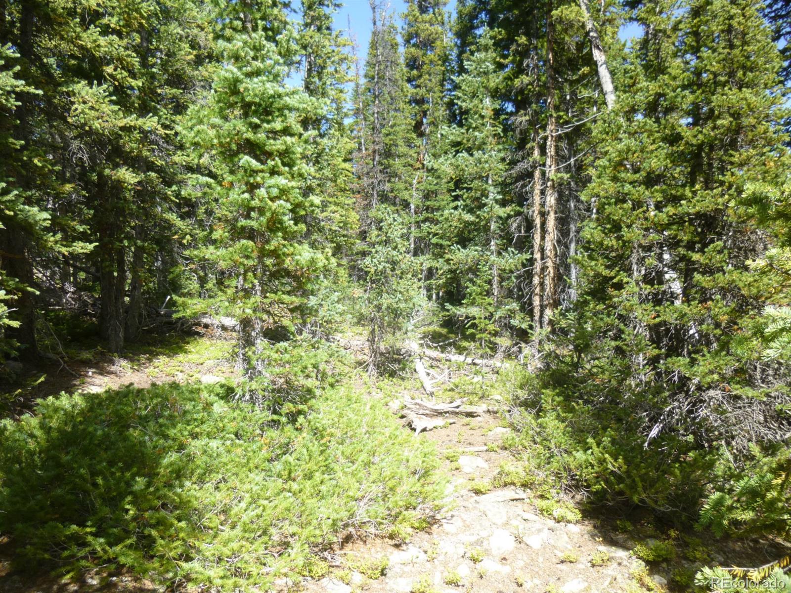 0 Rialto Road Fairplay, CO 80440 - Photo 4 of 7 Gallery Image 4