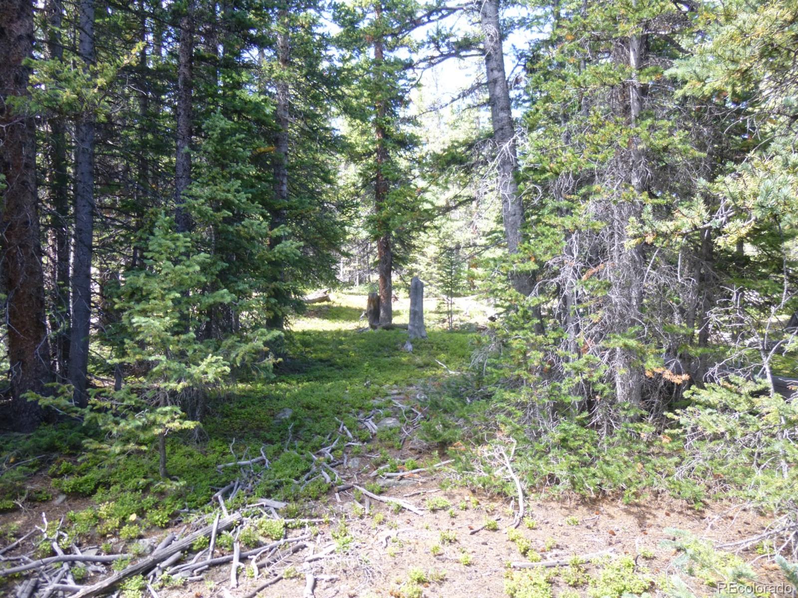 0 Rialto Road Fairplay, CO 80440 - Photo 5 of 7 Gallery Image 5