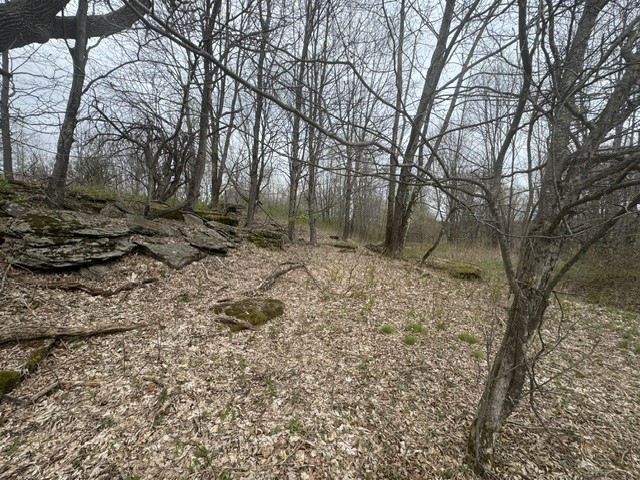 Lot 4 Shaver Hill Road Meridale, NY 13806 - Photo 44 of 44