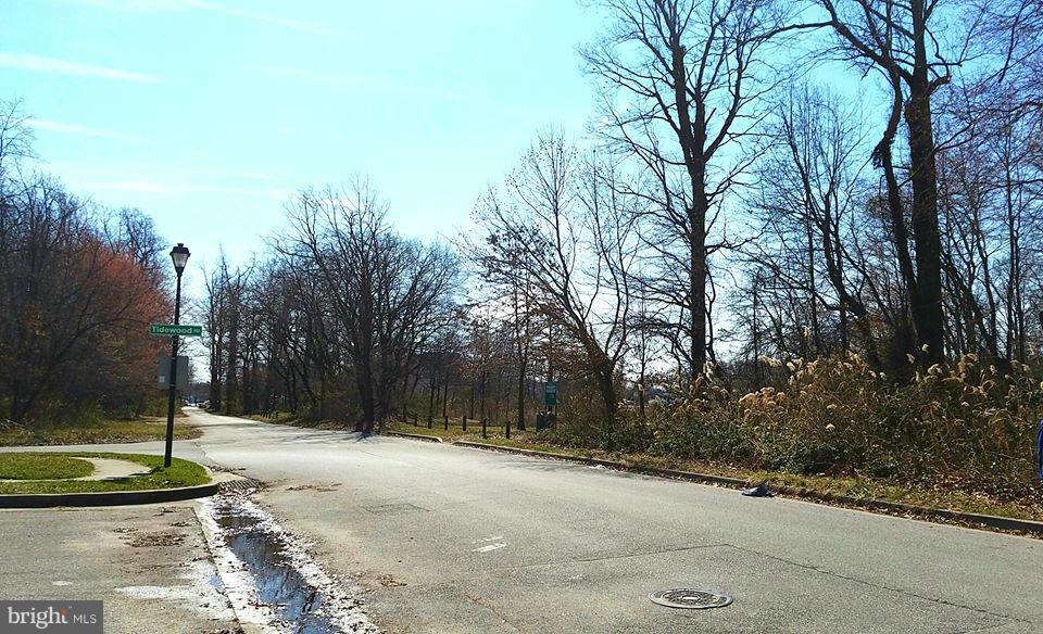 637 Nollmeyer Road Baltimore, MD 21220 - Photo 27 of 28 Serene view from front of the home. End of road.