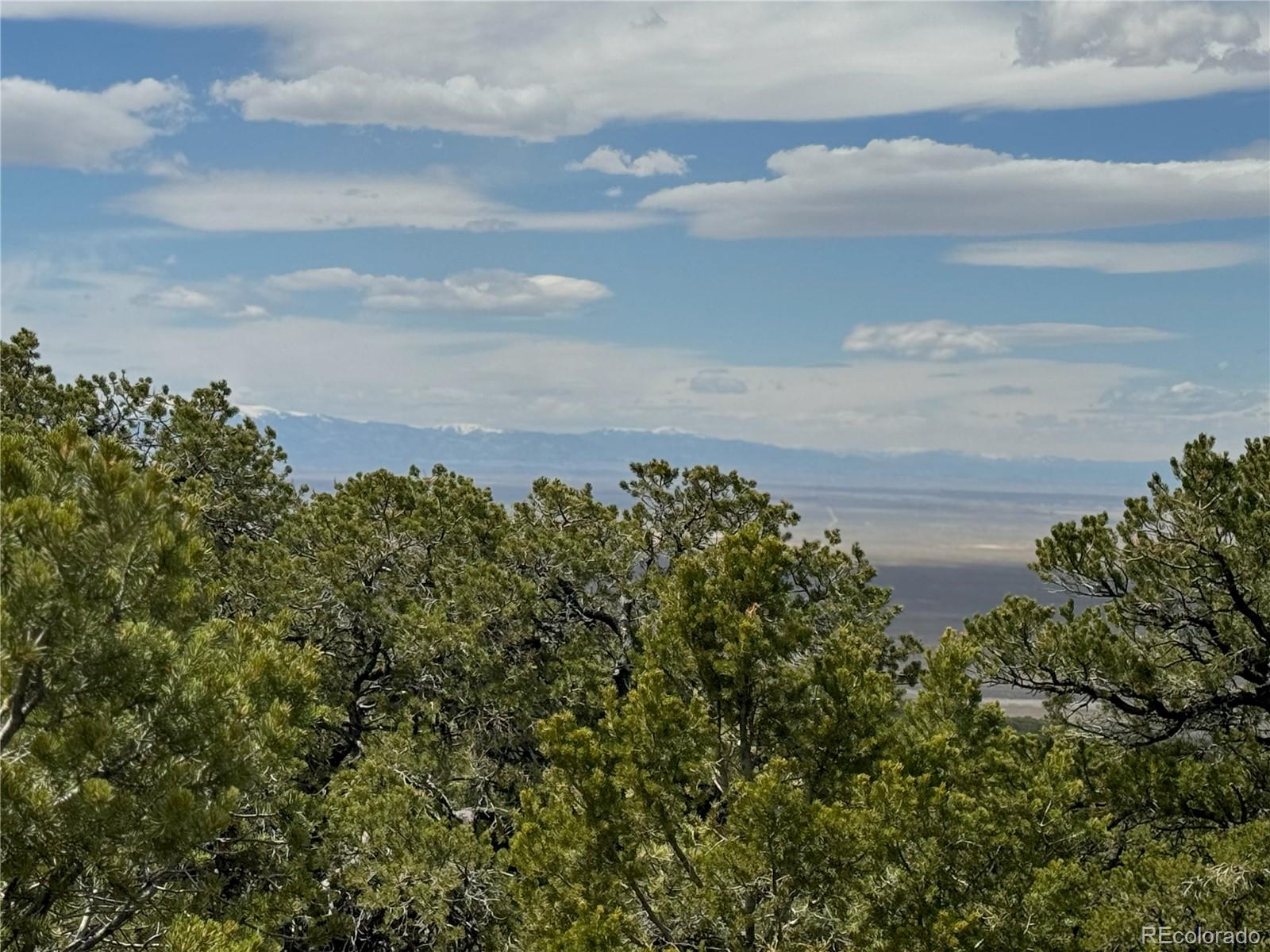 338 Cedar Ridge Road Mosca, CO 81146 - Photo 1 of 16 Gallery Image 1
