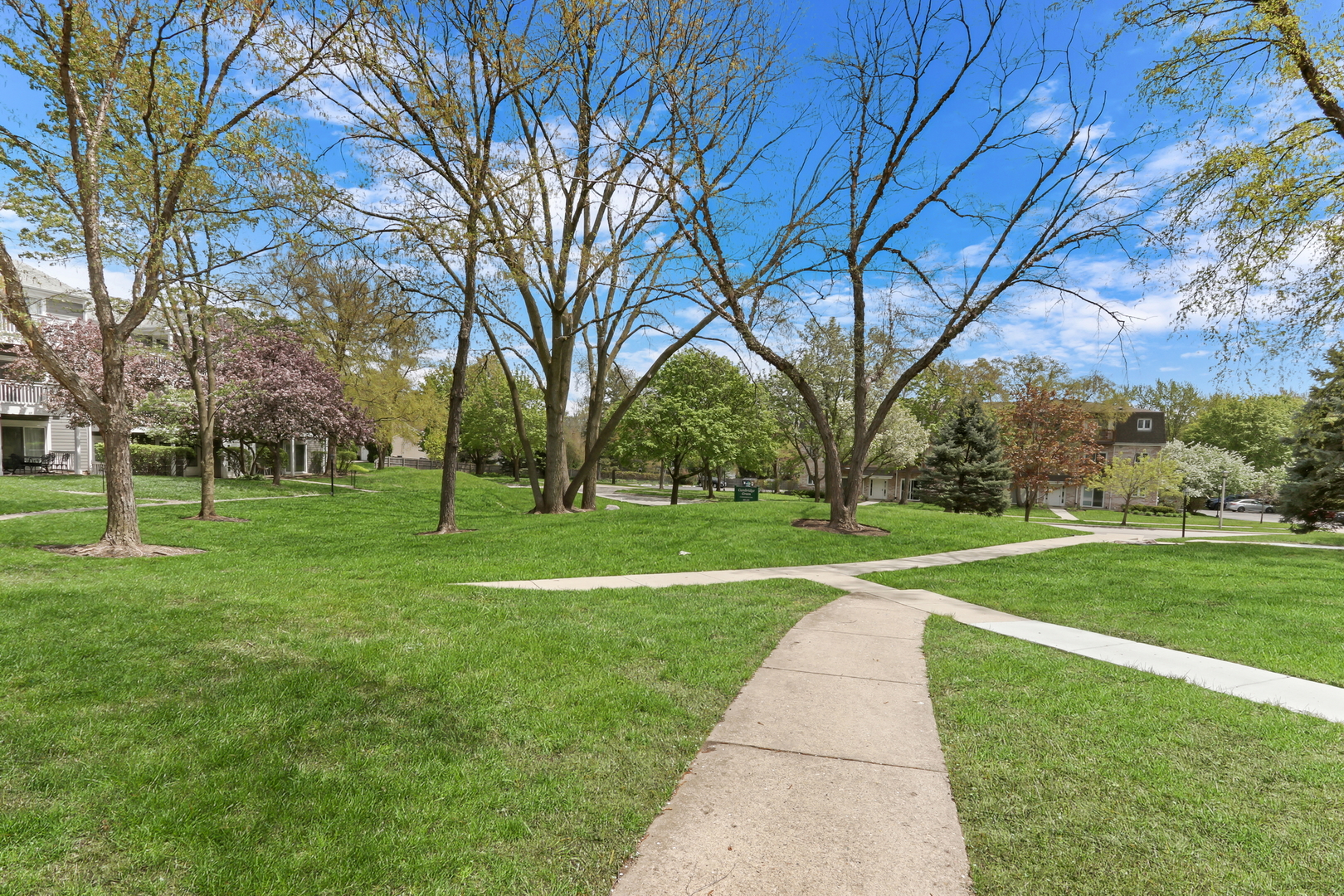 104 East Winchester Road, Unit E Libertyville, IL 60048 - Photo 21 of 23 a view of a park with large trees