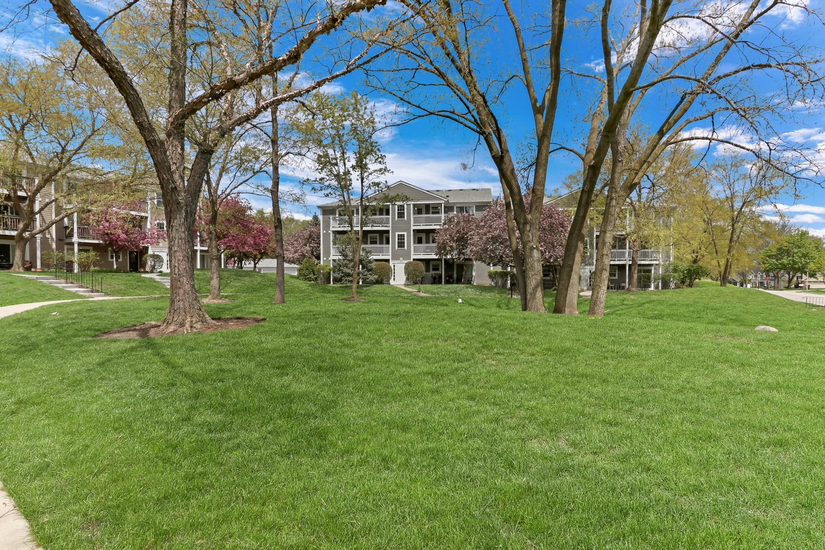 104 East Winchester Road, Unit E Libertyville, IL 60048 - Photo 22 of 23 a view of a park with large trees