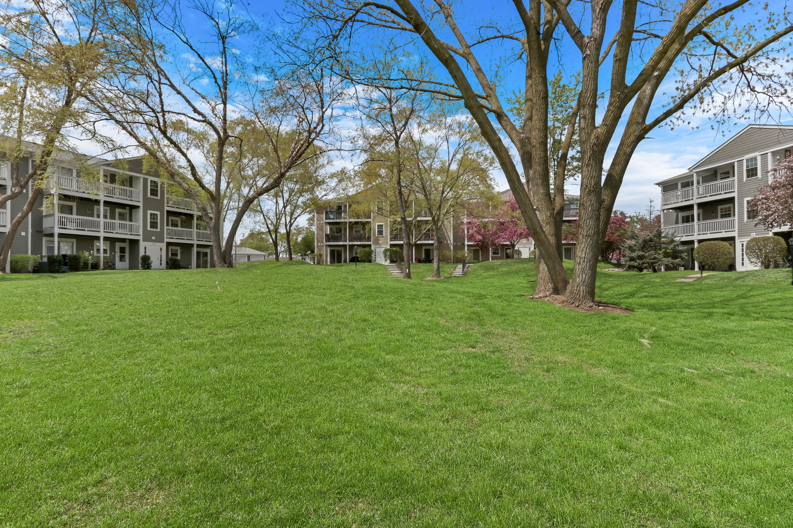 104 East Winchester Road, Unit E Libertyville, IL 60048 - Photo 23 of 23 a view of a building with a large tree