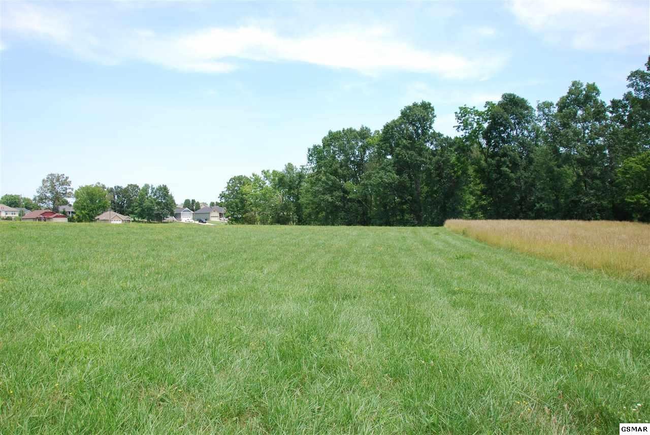 318 Chilhowee Academy Road Seymour, TN 37865 - Photo 2 of 19 Gallery Image 2