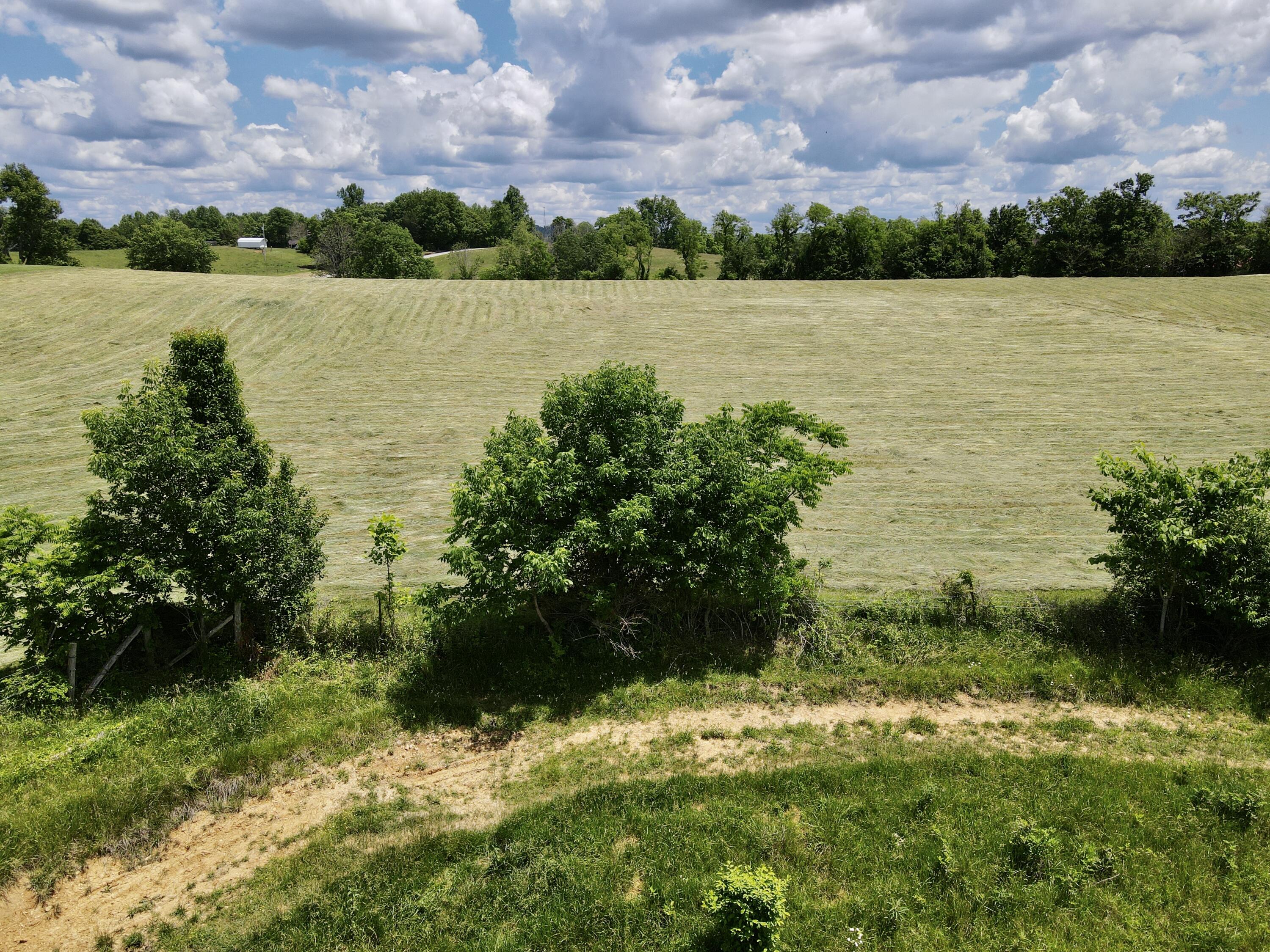 9999 Chestnut Grove Road Brodhead, KY 40409 - Photo 31 of 67 0A95E7F6-0F1D-4E48-BCBA-B70750145C1C