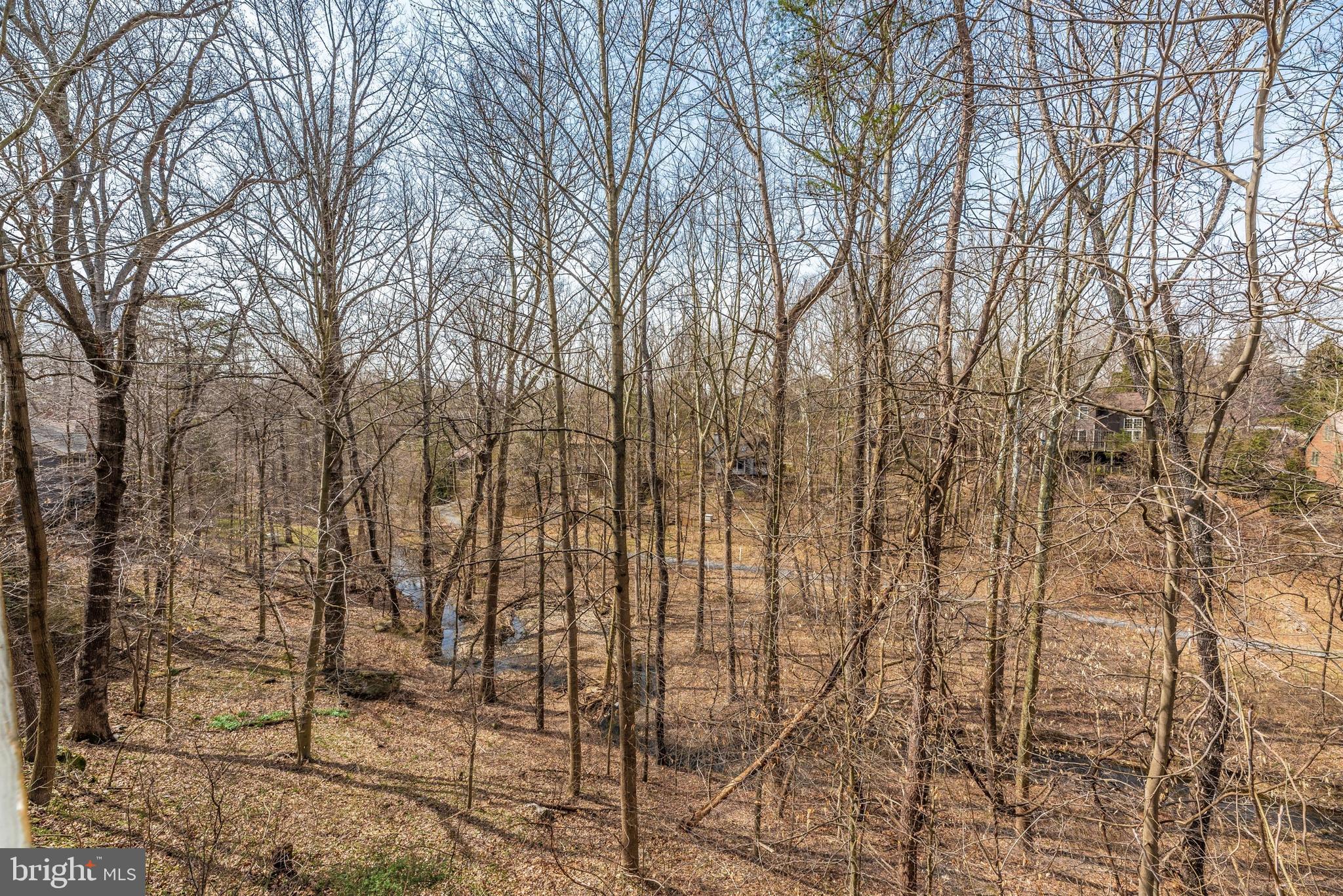 6780 Balmoral Ridge New Market, MD 21774 - Photo 37 of 48 Gallery Image 37