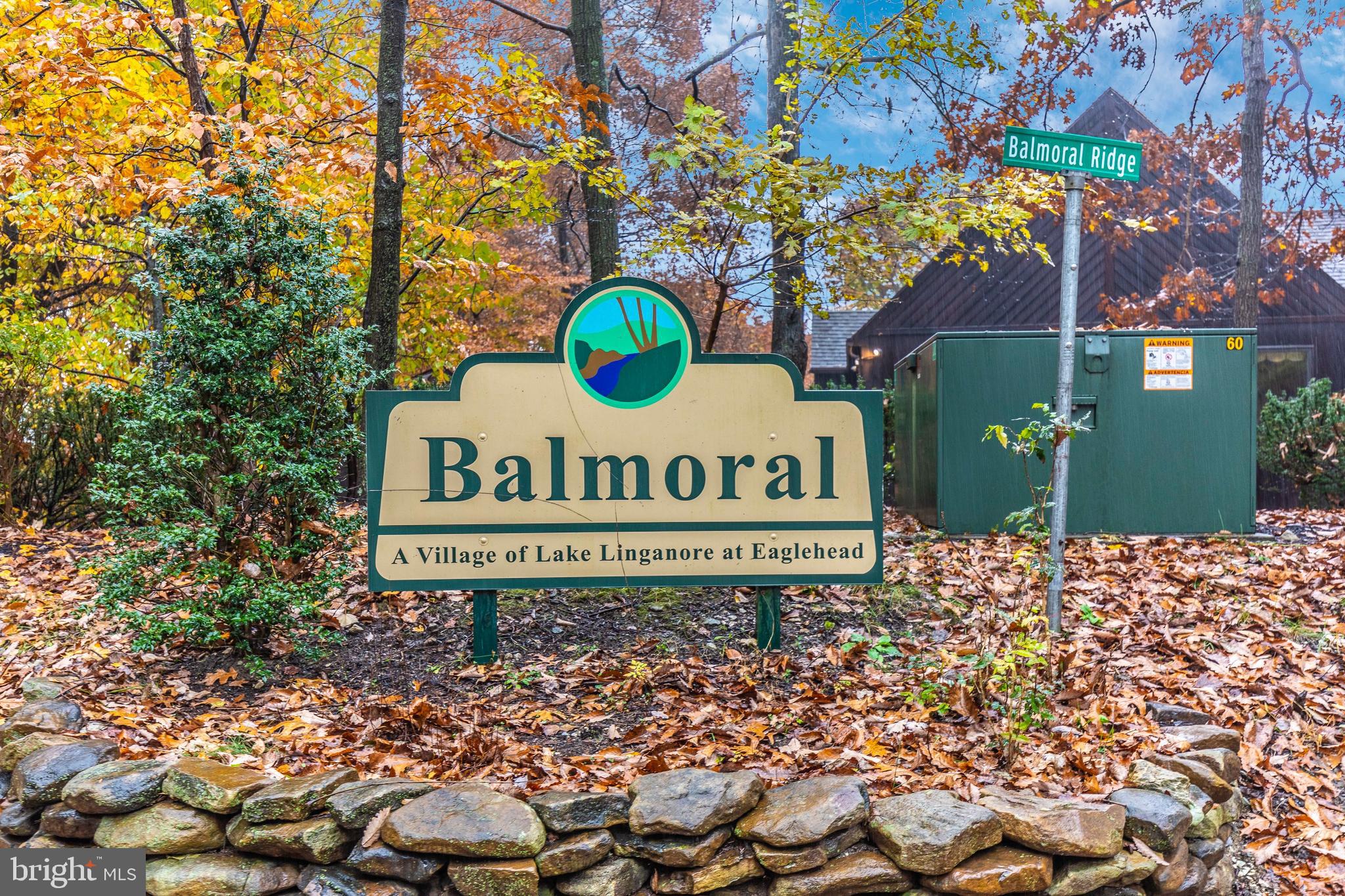 6780 Balmoral Ridge New Market, MD 21774 - Photo 42 of 48 Gallery Image 42