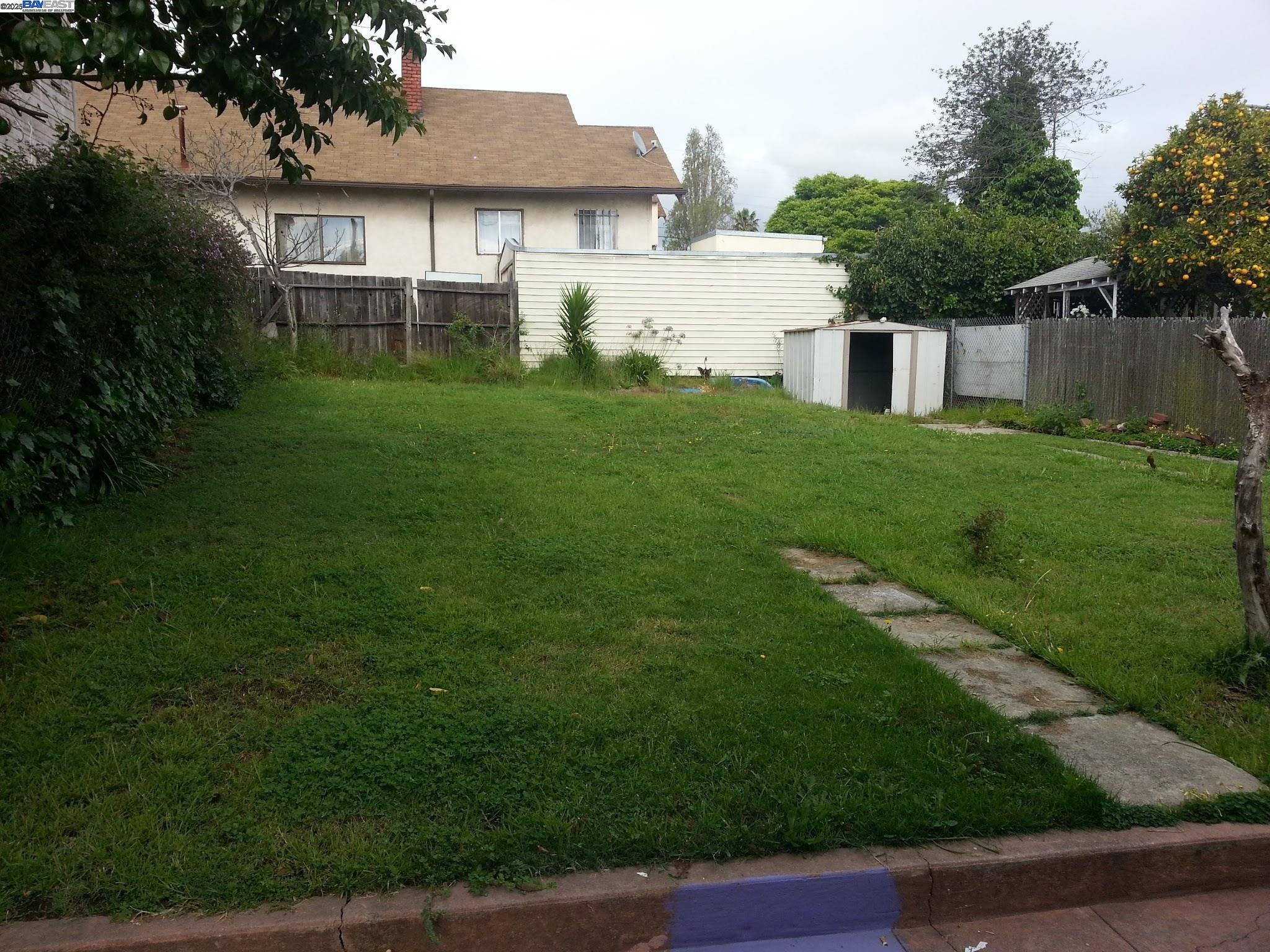 Jefferson Oakland, CA 94601 - Photo 5 of 14 a view of a yard in front of a house with plants and large tree