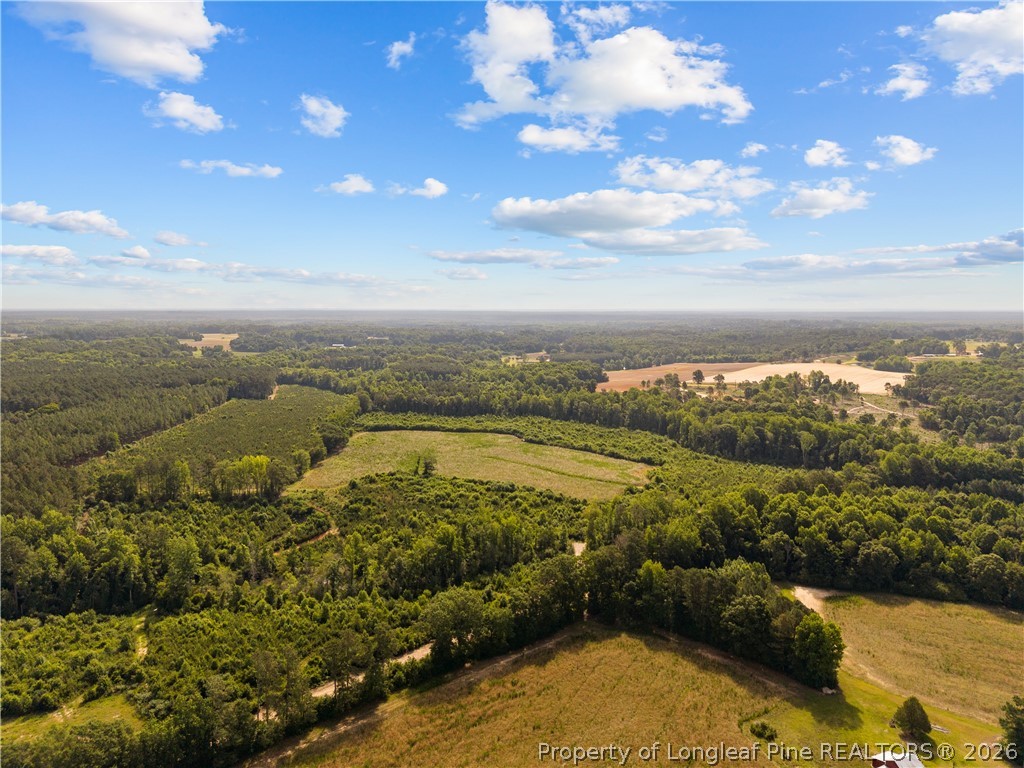 Leaflet Church Road Lillington, NC 27546 - Photo 17 of 20