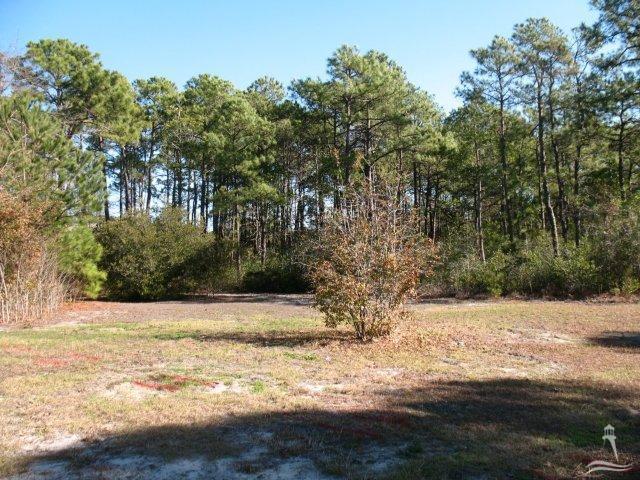 601 Bricklanding Road Southwest Shallotte, NC 28470 - Photo 1 of 10 Primary Photo