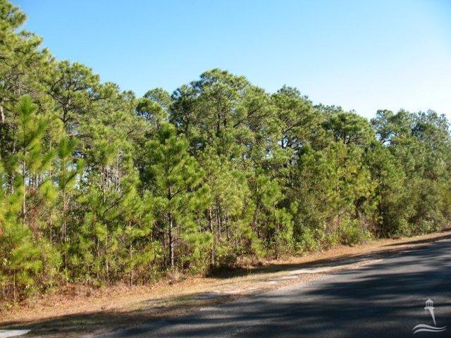 601 Bricklanding Road Southwest Shallotte, NC 28470 - Photo 5 of 10 Additional Photo