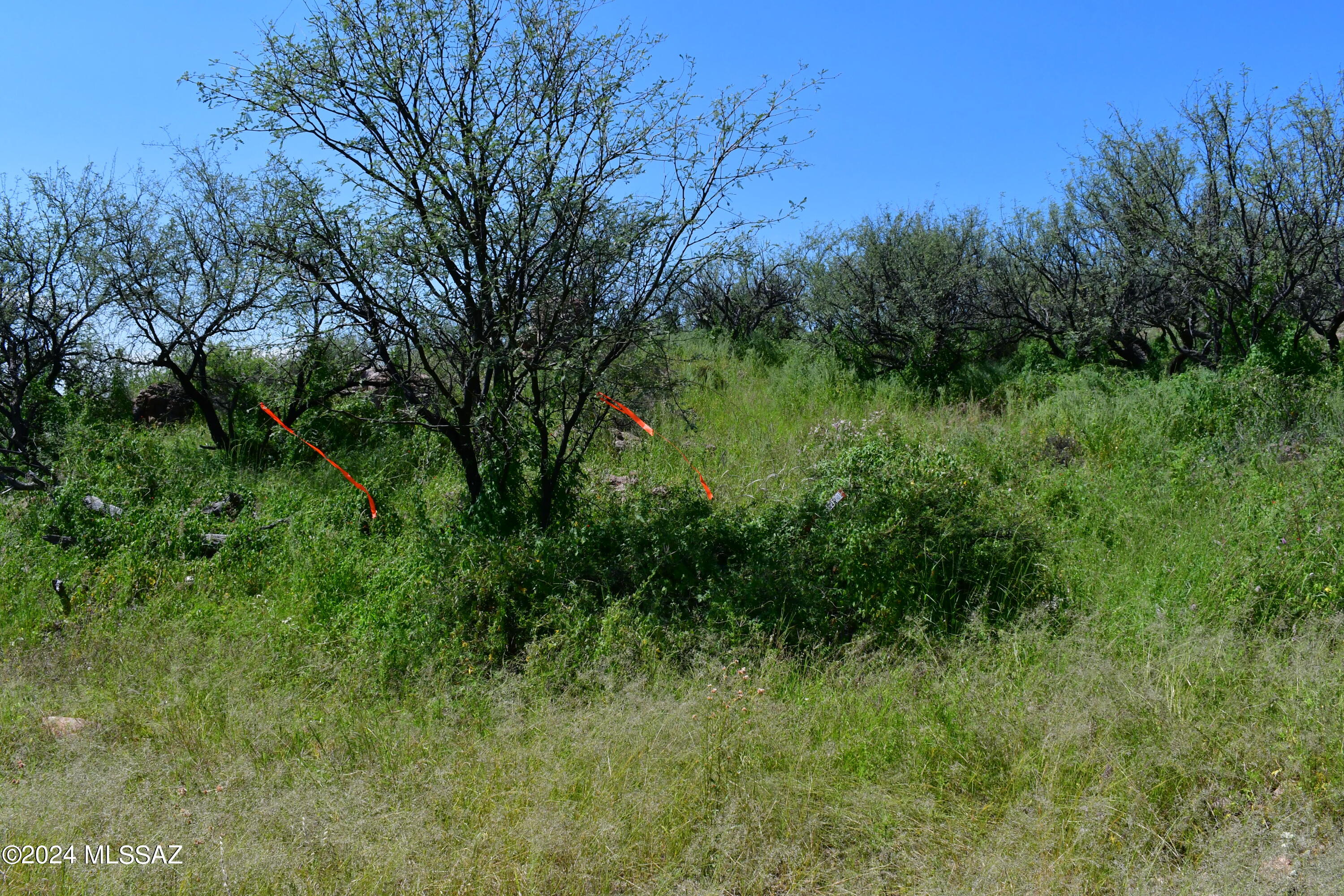 Tbd Tbd Mesquite Trail, Unit 132 Rio Rico, AZ 85648 - Photo 15 of 23