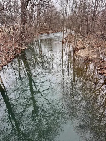 a backyard of a house with lots of trees