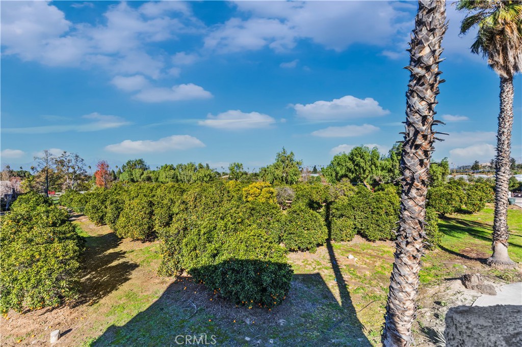 2540 Monroe Street Riverside, CA 92504 - Photo 56 of 75