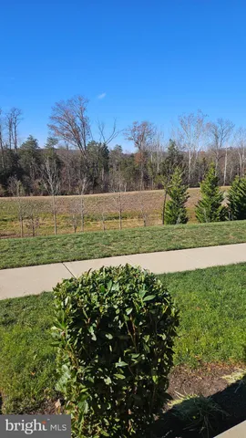 a view of an entryway with wooden floor and windows