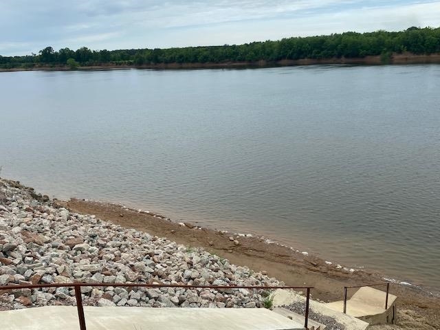 1080 Declan Lane Savannah, TN 38372 - Photo 18 of 23