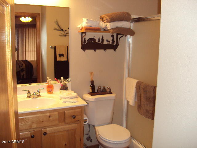 2321 Buffalo Loop Overgaard, AZ 85933 - Photo 11 of 20 DSC04050