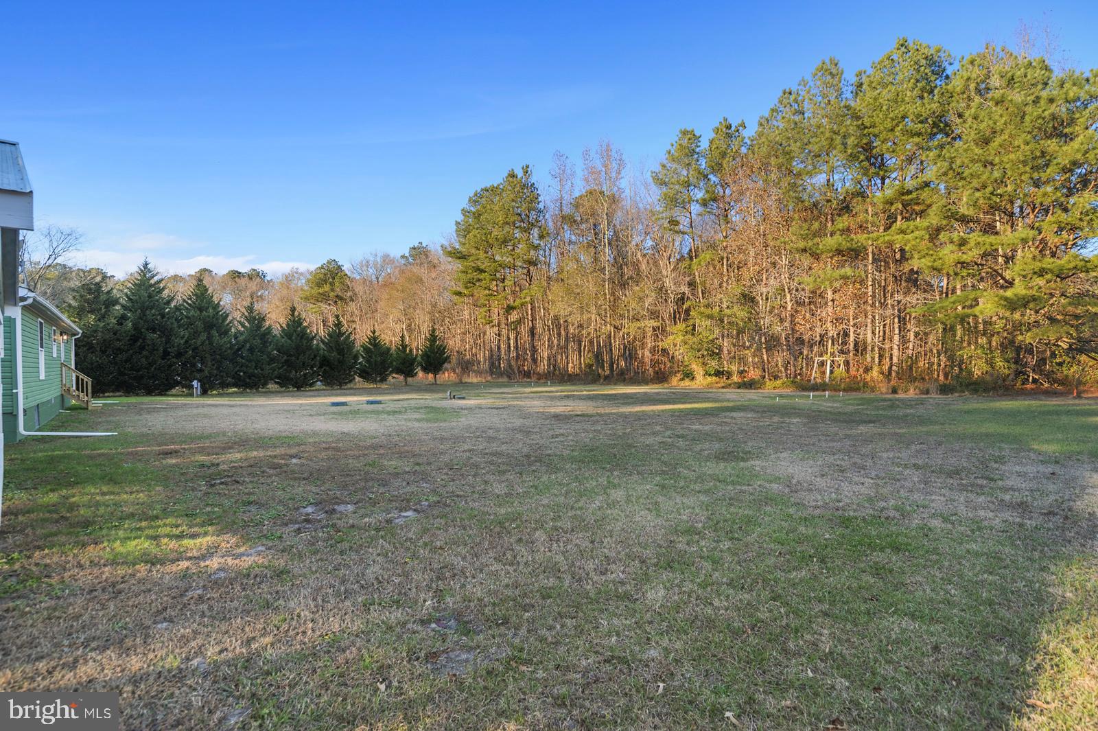16745 Arvey Road Laurel, DE 19956 - Photo 14 of 35 a view of outdoor space with trees all around
