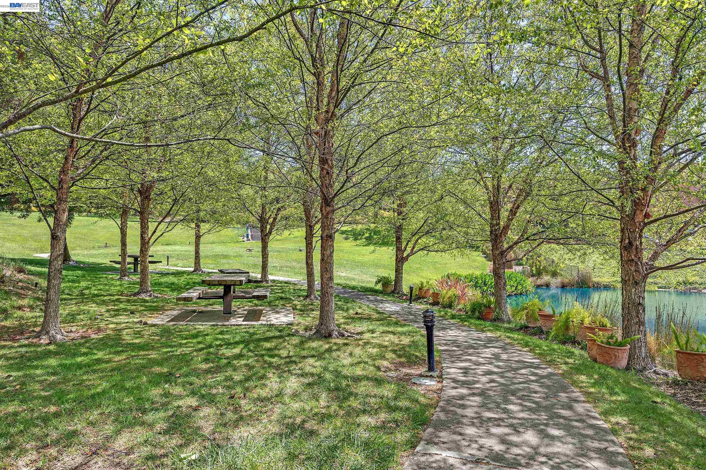 5012 Lakeview Drive, Unit 200 San Ramon, CA 94582 - Photo 39 of 47 a view of park with trees